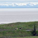 Runners take a Kenai beach access road during the Kenai Summer Solstice Fun Run in Kenai, Alaska, on Saturday, June 21, 2025. (Photo by Jeff Helminiak/Peninsula Clarion)
