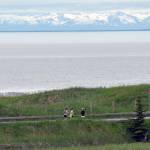 Runners take a Kenai beach access road during the Kenai Summer Solstice Fun Run in Kenai, Alaska, on Saturday, June 21, 2025. (Photo by Jeff Helminiak/Peninsula Clarion)