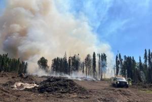 Fire crews respond to the Bruce Fire, July 4, 2025, in Soldotna, Alaska. (Alaska Division of Forestry)