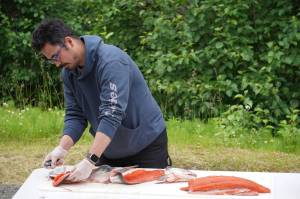 James Wardlow demonstrates flilleting a salmon with an ulu during a smoked salmon demonstration, part of Fish Week 2023, on Wednesday, July 19, 2023, at the Kenai National Wildlife Refuge Visitor Center in Soldotna, Alaska. (Jake Dye/Peninsula Clarion)