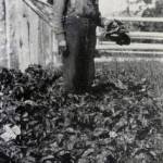 Photo from the May 1950 issue of the Alaska Sportsman Magazine.
Steve Melchior stands in his garden, holding produce, along the middle Kenai River, circa 1920s.