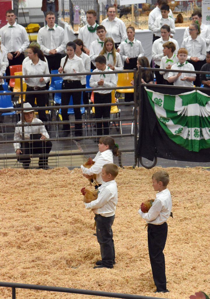 Rene Chihuly, Sven Glessing and Enoch Wheeler display Grand Champion Market Pen Chickens, cheered on by fellow 4-Hers, at the Junior Market Livestock Auction at the Kenai Peninsula District 4-H Agriculture Expo on Saturday, July 27, 2025, at the Soldotna Regional Sports Complex in Soldotna, Alaska. Glessing raised the animals. (Photo by Jeff Helminiak/Peninsula Clarion)