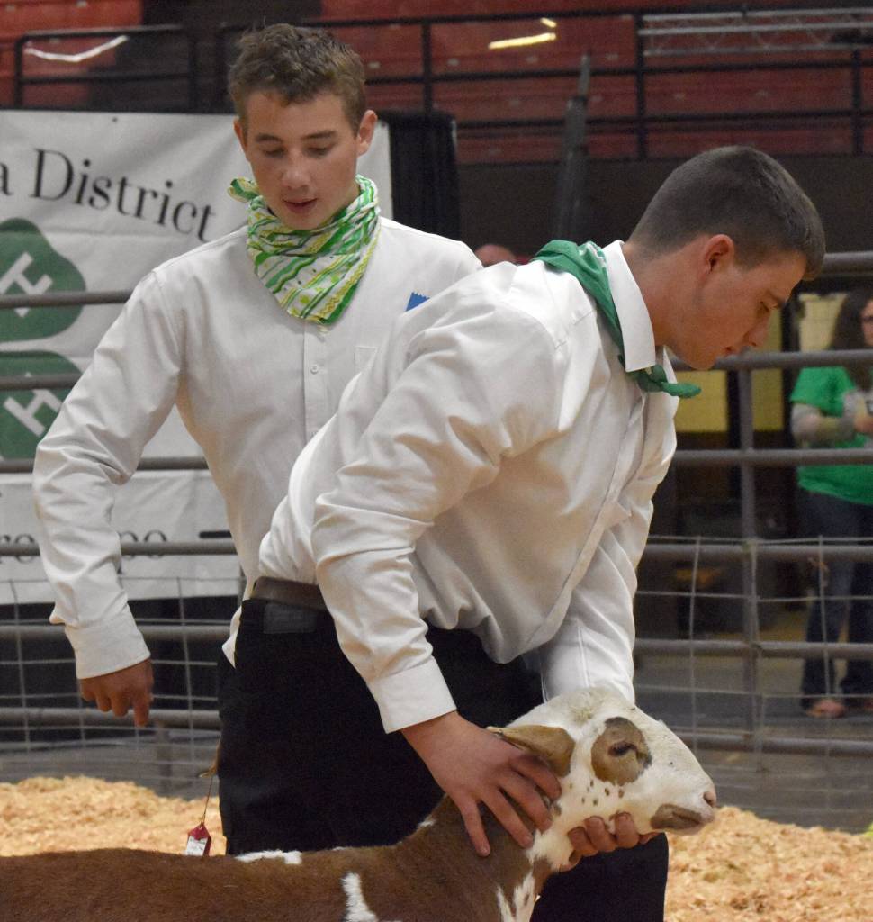 Paxton Katzenberger, left, displays his Reserve Champion Market Lamb while Benjamin Merritt holds the animal at the Junior Market Livestock Auction at the Kenai Peninsula District 4-H Agriculture Expo on Saturday, July 27, 2025, at the Soldotna Regional Sports Complex in Soldotna, Alaska. (Photo by Jeff Helminiak/Peninsula Clarion)