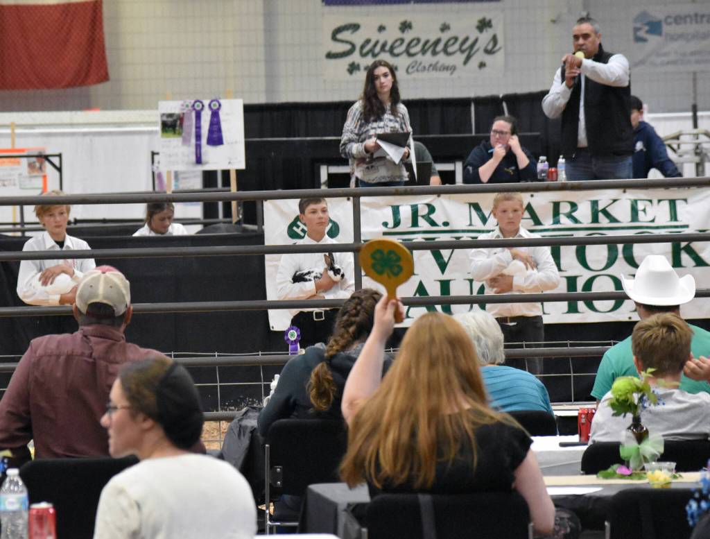 Isaiah Wheeler, Wolf Reichard and Sven Glessing draw a bid on Grand Champion Meat Pen Rabbits at the Junior Market Livestock Auction at the Kenai Peninsula District 4-H Agriculture Expo on Saturday, July 27, 2025, at the Soldotna Regional Sports Complex in Soldotna, Alaska. Reichard raised the animals. (Photo by Jeff Helminiak/Peninsula Clarion)