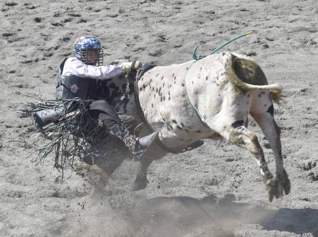 Wesley Zollinger competes in Bull Riding at the third Soldotna Equestrian Association rodeo of the year Sunday, July 27, 2025, at the Soldotna Rodeo Grounds in Soldotna, Alaska. (Photo by Jeff Helminiak/Peninsula Clarion)
