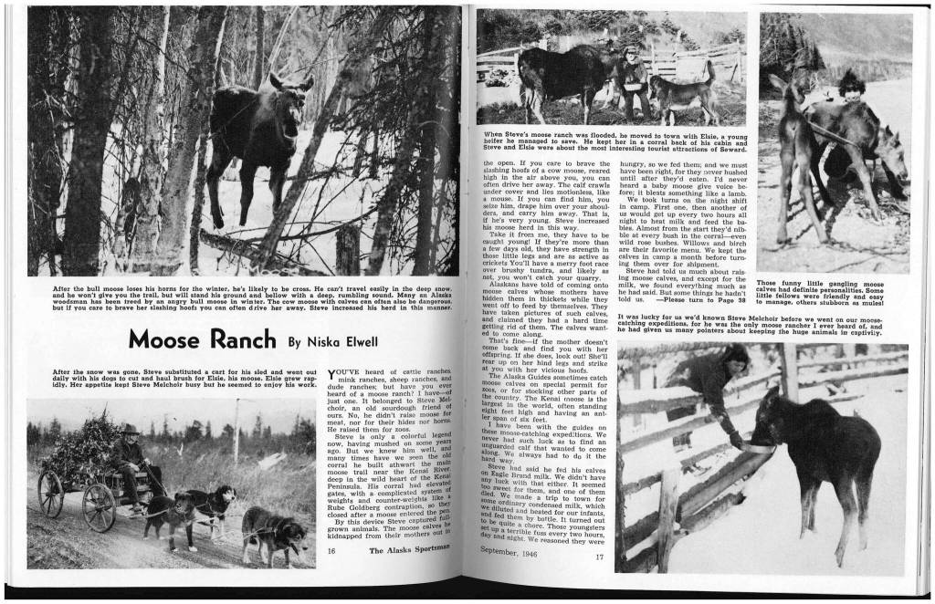 In September 1946, the Alaska Sportsman Magazine published Moose Ranch, an article by Mamie Niska Elwell. The story describes Steve Melchiors moose-ranching operation from the 1920s and features two photographs of Melchior.