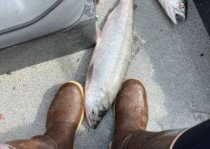 Freshly caught fish lay at the authors feet. (Photo by Meredith Harber/courtesy)