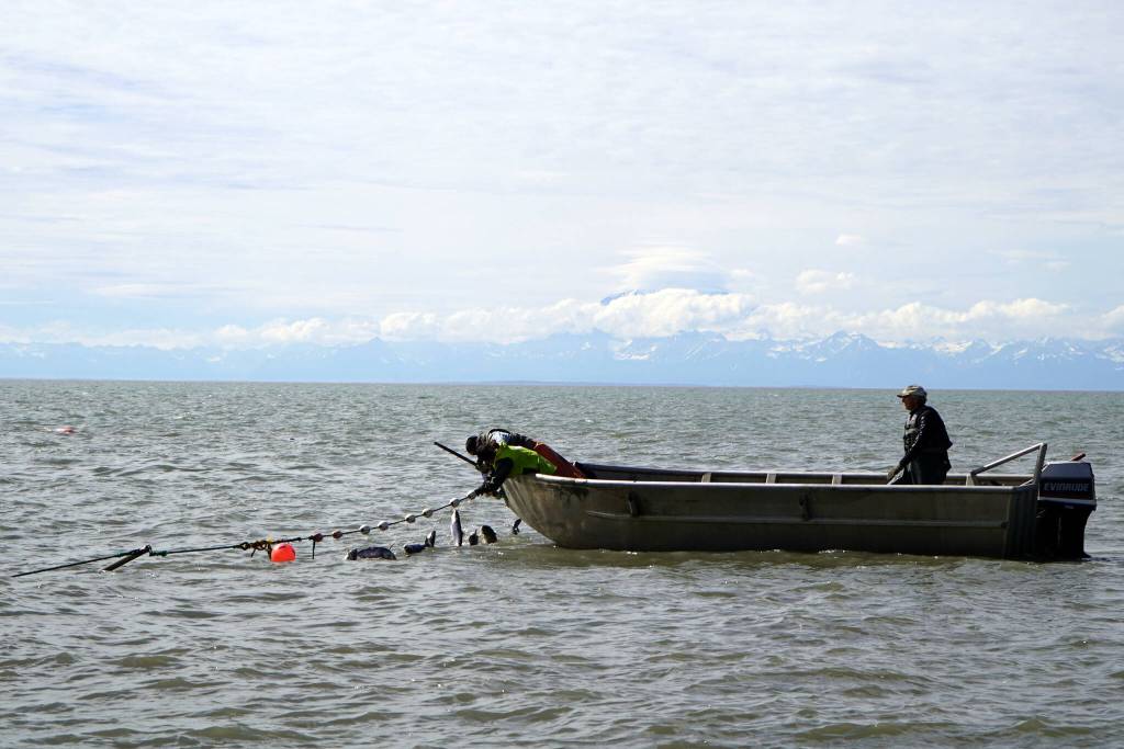 Gary Hollier, right, watches as a setnet is pulled into a boat in the waters of Cook Inlet in Kalifornsky, Alaska, on Wednesday, Aug. 6, 2025. (Jake Dye/Peninsula Clarion)