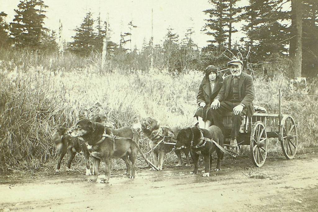 Having a ready team of work dogs made longer trips out of Seward more manageable for Steve Melchior. The woman accompanying him on the wagon is unidentified. (Photo courtesy of the Melchior Family Collection)