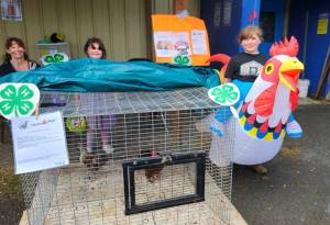 Kenai Peninsula District 4-H chickens are on display at the Kenai Peninsula Fair, Aug. 8-10, 2025, in Ninilchik, Alaska. Photo courtesy of Jack Money