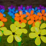 Promise flowers fill the lawn at the Third Annual Kenai Peninsula Walk to End Alzheimers at the Challenger Learning Center of Alaska in Kenai, Alaska, on Saturday, Sept. 13, 2025. (Jake Dye/Peninsula Clarion)