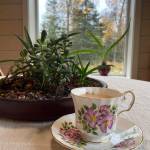 Serve your London Fog in a lovely cup and enjoy while reading the news. (Photo by Tressa Dale/Peninsula Clarion)