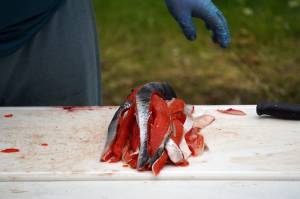 FILE – Strips of salmon are ready to be strung up for smoking during a smoked salmon demonstration, part of Fish Week 2023, on Wednesday, July 19, 2023, at the Kenai National Wildlife Refuge Visitor Center in Soldotna, Alaska. (Jake Dye/Peninsula Clarion)