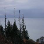 Low clouds hang over Cook Inlet north of Anchor Point on Oct. 23, 2025. The Trump administration is planning an oil and gas lease sale in federal territory of the inlet. It is set to be the first of at six Cook Inlet lease sales that Congress has mandated by held between now and 2032. (Photo by Yereth Rosen/Alaska Beacon)