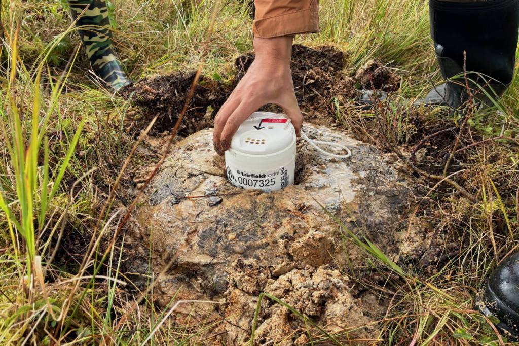 A seismic sensor rests in a “mud pie” on Kodiak Island in Alaska in September 2025. Photo by Cade Quigley