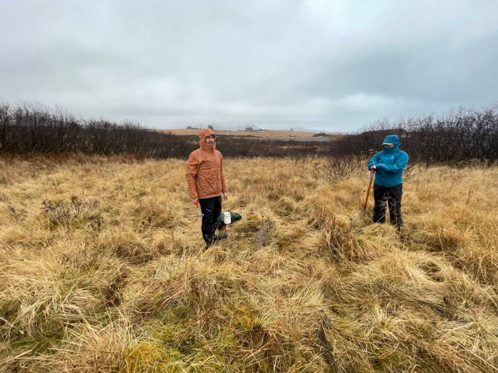 Ph.D. students Cade Quigley, left, and Sarah Noel remove sensors during a rainy day on Kodiak Island on Nov. 14, 2025, in Alaska. Photo by Sara Wilbur