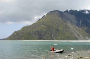 A 1958 earthquake on the Fairweather Fault that passes through Lituya Bay shook a mountaintop into the water and produced a wave that reached 1,740 feet on the hillside in the background, shearing off rainforest spruce trees. Photo courtesy Ned Rozell