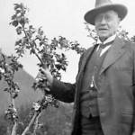 Prof. C.C. Georgeson, circa 1910s, inspects an apple tree on one of his Alaska agricultural experiment stations. (Image from the Rasmuson Library historical archives at the University of Alaska Fairbanks)
