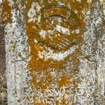 This is the gravesite of Ben Swesey’s mother, Eliza, in Vermillion, South Dakota. (Photo from findagrave.com)