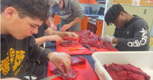 Soldotna High School students learn how to prepare moose meat through the schools annual Moose Permit Project, an educational partnership between SoHi and the Alaska Department of Fish and Game. Photo courtesy of Tabitha Blades/Soldotna High School