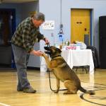 Scotty, a German shepherd and Malamute mix, shakes his owners hand during the Snow Rondi dog show on Sunday, March 1<ins>, 2026,</ins> at Chapman School<ins> in Anchor Point, Alaska</ins>. (Delcenia Cosman/Homer News)