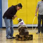 Mary Simondsen (left) offers a treat to Cheddar for performing tricks, like sitting in a box on command, during the Snow Rondi Dog Show on Sunday, March 1<ins>, 2026,</ins> at Chapman School<ins> in Anchor Point, Alaska</ins>. Cheddar won the prize for Best Trick.