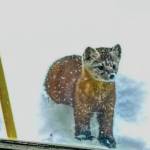 A marten visits the Fairbanks home of Tim Walker. Walker has seen the animal several times. Photo courtesy Tim Walker