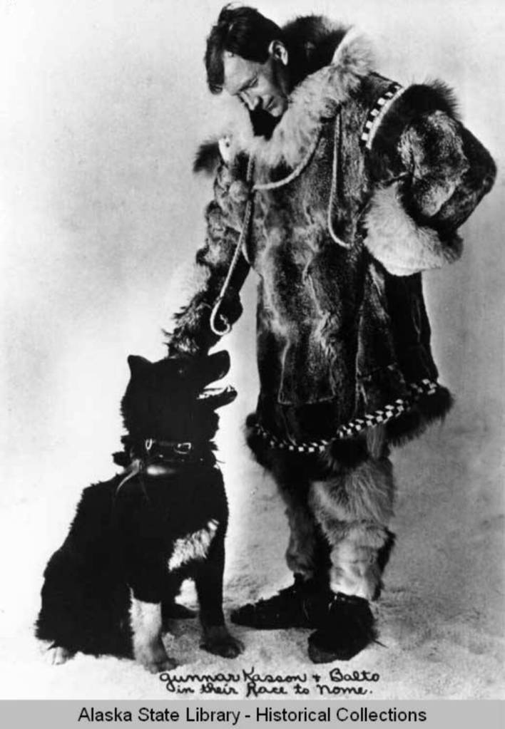Serum Run musher Gunnar Kaasen poses with Balto, a leader on his mushing team. Alaska State Library Portrait File