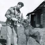 Photo courtesy of the Arness Family Collection
Jimmy Petersen feeds an orphaned moose calf. Petersen, the first enforcement officer for the Kenai National Moose Range, became the namesake of Petersen Lake after his accidental drowning on Skilak Lake in 1955.