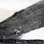 Photo from the Jim Taylor Collection
This postcard photo, circa 1911, is titled Climbing Mt. McCoyWater at Last. Today, this peak in the heart of Cooper Landing is known as Cecil Rhode Mountain.