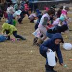 Kids in kindergarten and first grade race to pick up as many eggs as they can during the community Easter egg hunt sponsored by Church on the Rock Homer on Saturday, April 4, 2026, in Homer, Alaska. (Delcenia Cosman/Homer News)