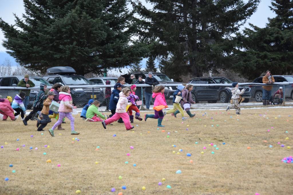 Kindergarteners and first-graders sprint across a field at Karen Hornaday Park at the start of the Easter egg hunt for their age group on Saturday, April 4, 2026, in Homer, Alaska. (Delcenia Cosman/Homer News)