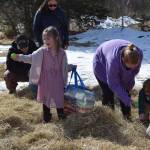 Kids hunt for eggs in a hay pile arranged by the VFW Post 10221 for younger children during their annual community Easter egg hunt on Sunday, April 5, 2026, in Anchor Point, Alaska. (Delcenia Cosman/Homer News)