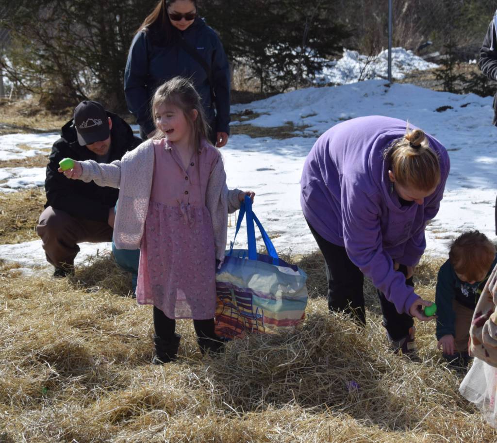 Kids hunt for eggs in a hay pile arranged by the VFW Post 10221 for younger children during their annual community Easter egg hunt on Sunday, April 5, 2026, in Anchor Point, Alaska. (Delcenia Cosman/Homer News)