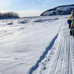 Forest Wagner rides his fat bike near Bishop Rock, right, a pinch point on the flow of the Yukon River, on April 5, 2026. (Photo by Ned Rozell)