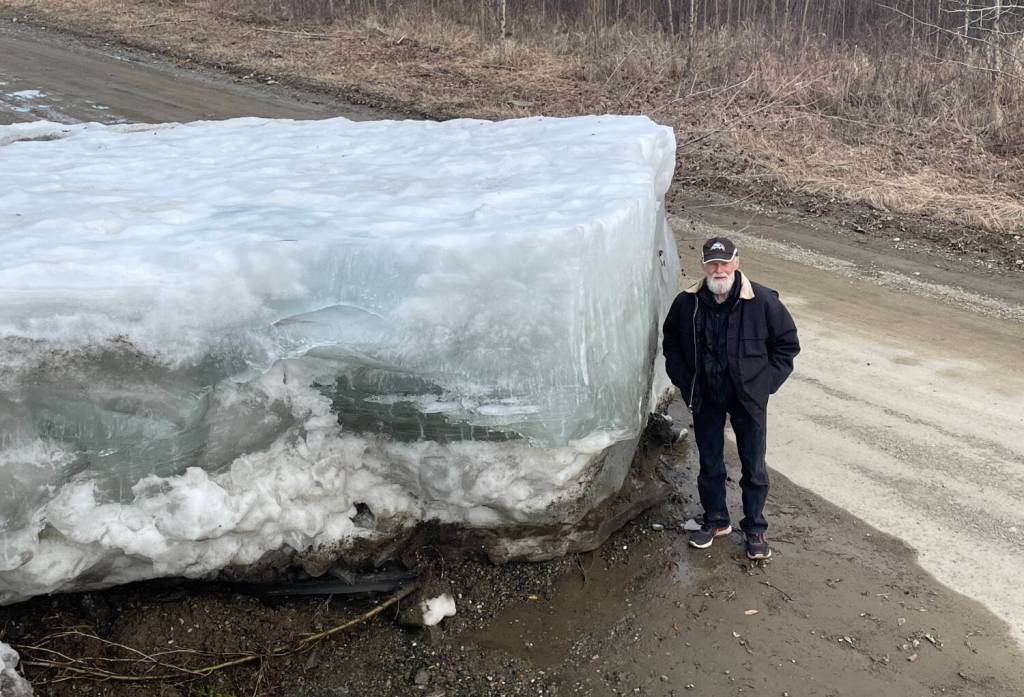 (Eagle resident Steve Hamilton stands next to a block of Yukon River ice that the river lifted onto a road there on May 12, 2023. (Photo by Ned Rozell)