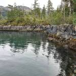 A section of rocky shoreline in Herring Petes Cove is reflected in the water. Herring Petes Cove is now part of Kachemak Bay State Park. (Photo provided by The Conservation Fund)