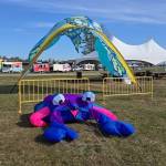The annual Kenai Kite Festival returned to Millennium Square Park on June 6 for another family-friendly day of colorful kites and community fun. (Debbie Wik/Contributed)