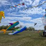 The annual Kenai Kite Festival returned to Millennium Square Park on June 6 for another family-friendly day of colorful kites and community fun. (Debbie Wik/Contributed)