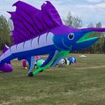 The annual Kenai Kite Festival returned to Millennium Square Park on June 6 for another family-friendly day of colorful kites and community fun. (Debbie Wik/Contributed)