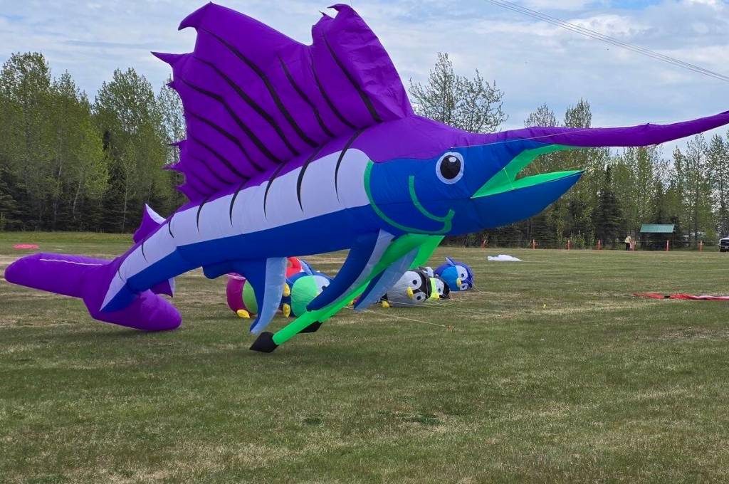 The annual Kenai Kite Festival returned to Millennium Square Park on June 6 for another family-friendly day of colorful kites and community fun. (Debbie Wik/Contributed)