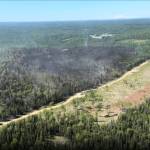 The Grandview Fire on June 19, taken from a DFFP helicopter. The fuel break can be seen along the northern edge of the fire perimeter. (Courtesy of DFFP)