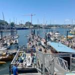 Race to Alaska teams gather in the Victoria Inner Harbour ahead of the June 17 departure for Ketchikan. (Christine van Reeuwyk photo)