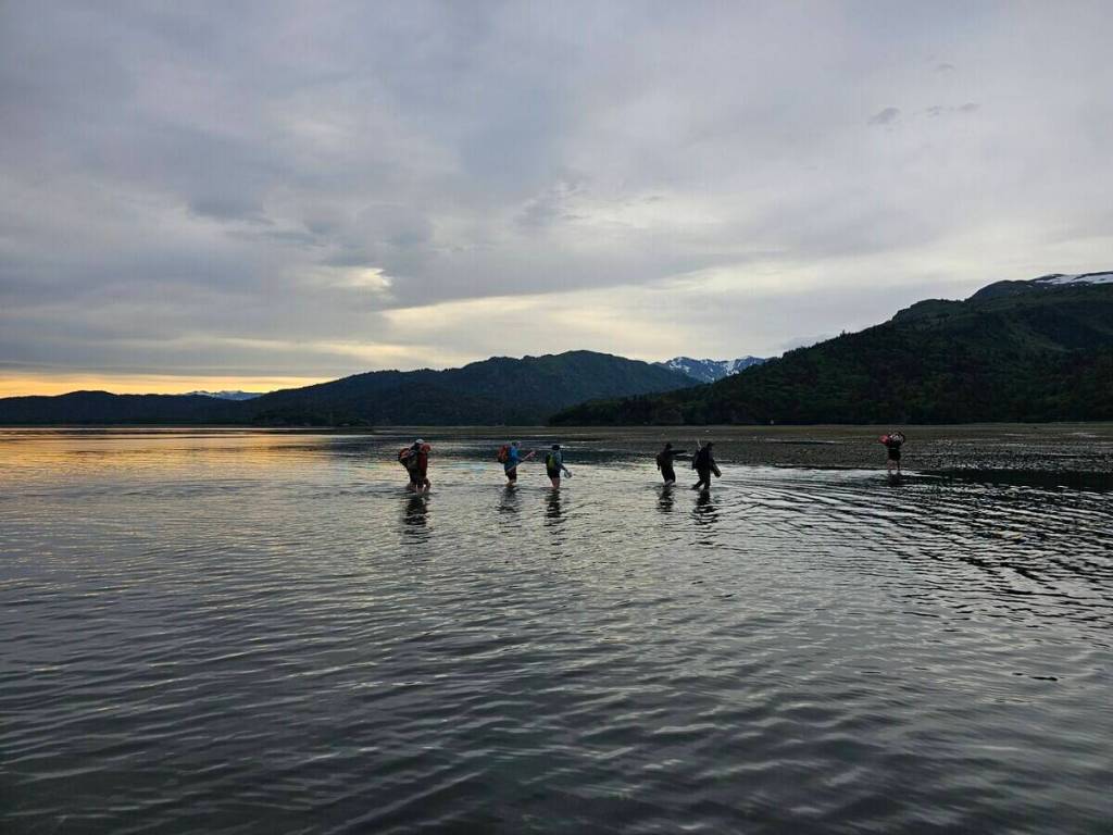 Half marathoners competed earlier this month in the 2026 Kachemak Bay Mountain Classic, a rugged race series held annually as a fundraiser to bring awareness to local trails lost to overgrowth in the Kenai Peninsula. (Silas Firth)