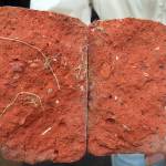 Photo by Clark Fair
This broken Russian-era brick, manufactured in Kenai, reveals a glimpse into the granular makeup of the local bricks.