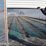 Chloe Pleznac/Homer News File
Anchor Point Greenhouse owner Al Poindexter checks out a greenhouse that will soon be filled with plants. Poindexter and his family, who own and operate Anchor Point Greenhouse, were named the 2026 Farm Family of the Year.